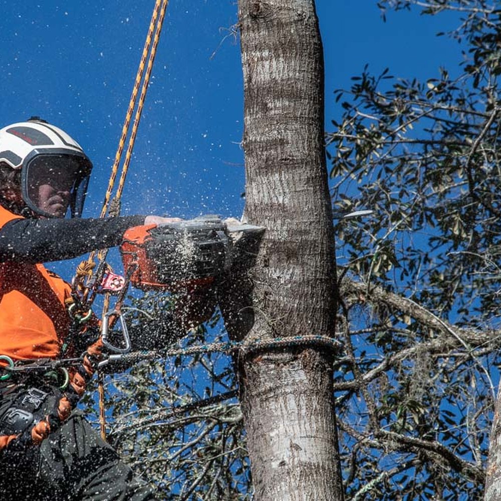 Crews Tree Service - Tree Services Near Me Crews Tree Service - Tree Services Near Me