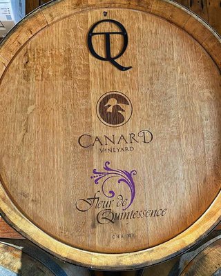 Canard Vineyard by null