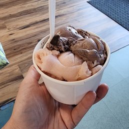 Rhubarb sorbet and raspberry truffle ice cream Rhubarb sorbet and raspberry truffle ice cream