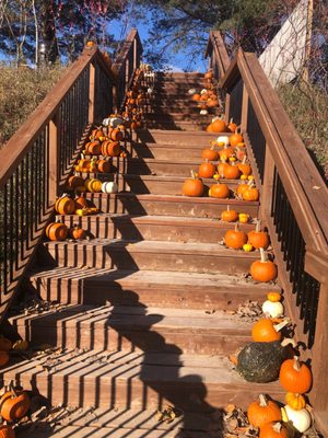 Wilson's Orchard & Farm (Iowa City) by null