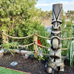 Fence Me In - A portion of the new rope fence.  Note: Trees/succulents are freshly planted