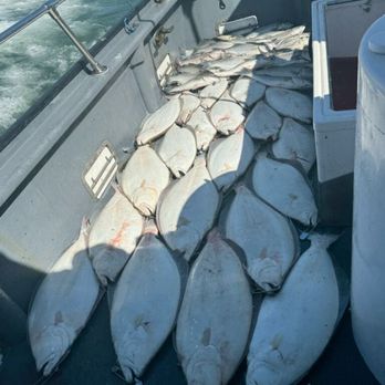 Blue Runner Sportfishing - Fishing Near Me - Sausalito, California