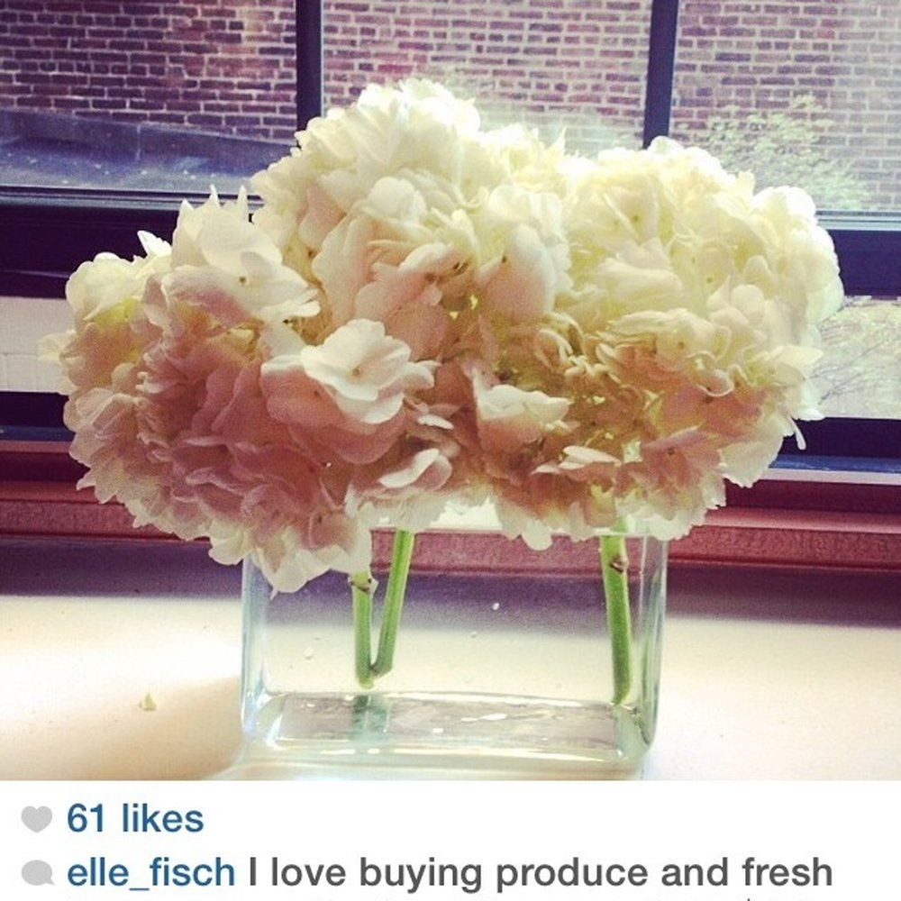 Such fresh flowers for next to nothing Such fresh flowers for next to nothing