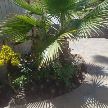 Savon Pavers | Paving Contractor San Diego County - Masonry/Concrete Near Me - Carlsbad, California Savon Pavers | Paving Contractor San Diego County - Masonry/Concrete Near Me - Carlsbad, California