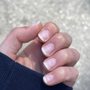Le Vernis Nail Studio