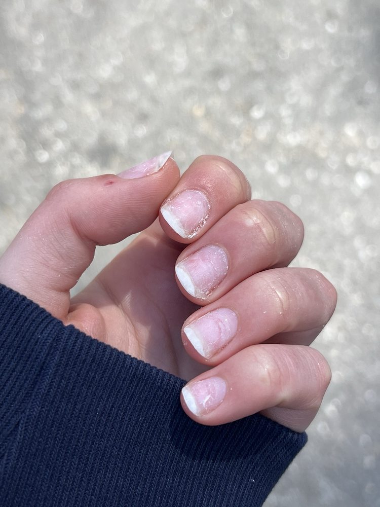 Le Vernis Nail Studio Logo
