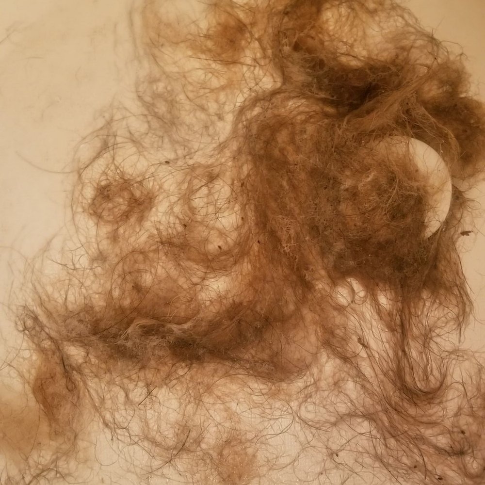 INFESTATIONS OF FLEAS!!!!!!! My dog was miserable. This was after getting him groomed and even paid for the flea dip! No go! 4 days later!