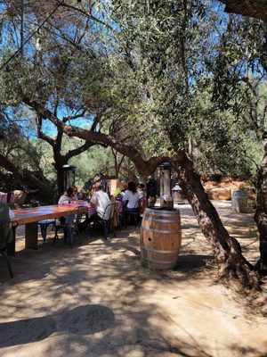 Bruma Valle de Guadalupe by null