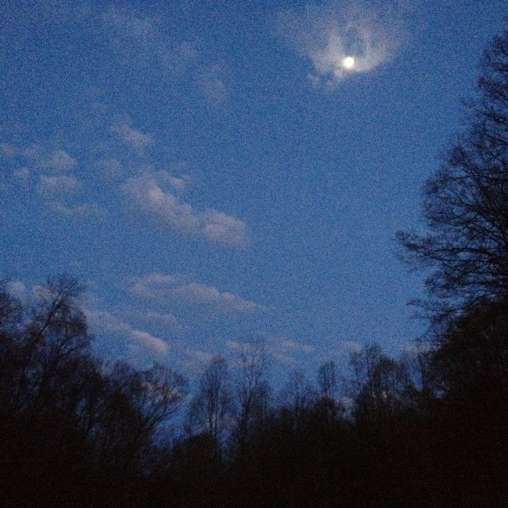 View of the night sky at Vintage Valley's back yard fire pit View of the night sky at Vintage Valley's back yard fire pit