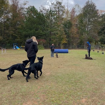 Willow Creek Dog Training LLC - Pet Training Near Me - Dawsonville, Georgia Willow Creek Dog Training LLC - Pet Training Near Me - Dawsonville, Georgia
