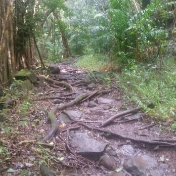 Makiki Valley Trail - Hiking Near Me - Honolulu, Hawaii