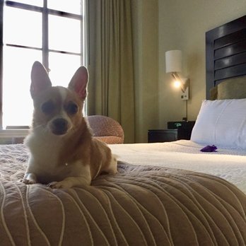 The Sofia Hotel - Hotels Near Me - San Diego, California The Sofia Hotel - Hotels Near Me - San Diego, California