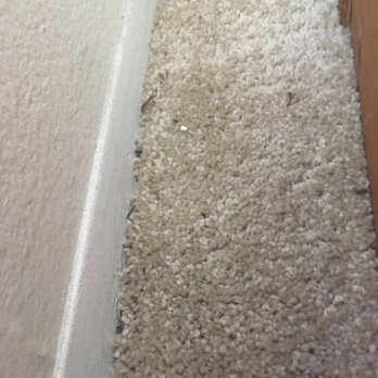 Encinitas Cleaners - Hallway edge that remained filthy. - Laundry Services Near Me - Encinitas, California