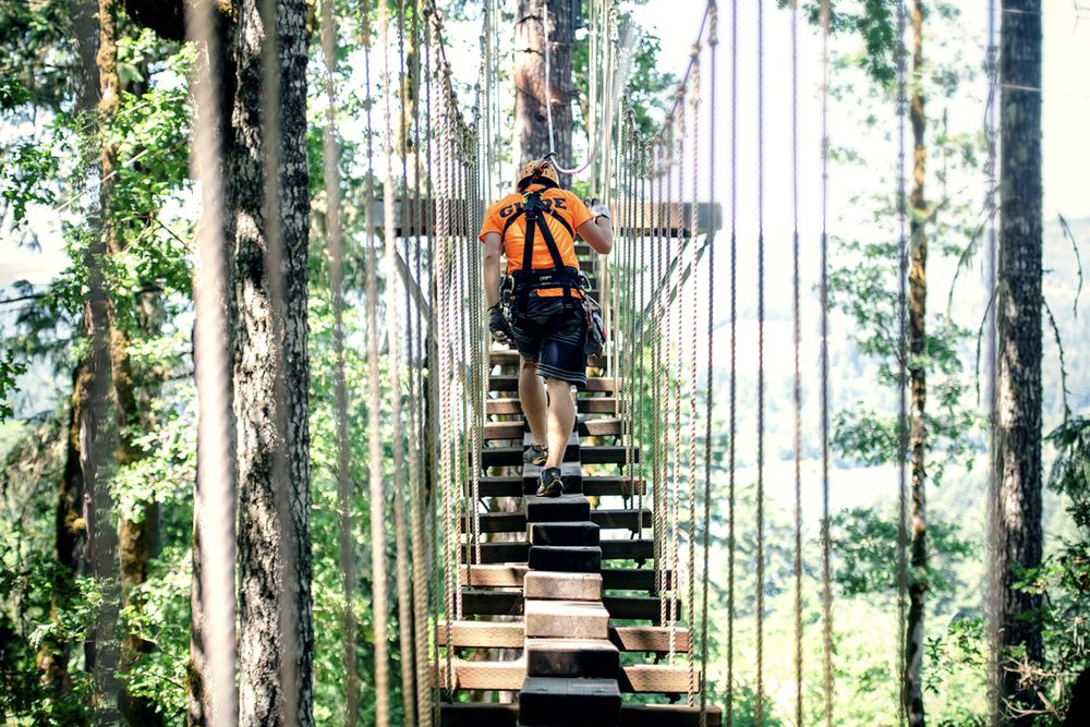 TREE TO TREE IDAHO ADVENTURE PARK 46 Photos & 16 Reviews 17545 E