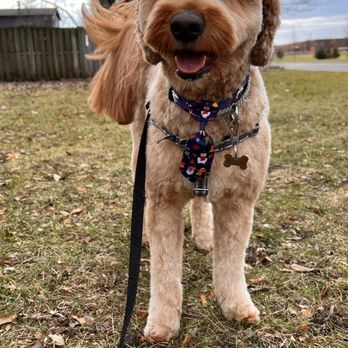 PurrFurred Pet Styling - Aurora - Pet Groomers Near Me - Aurora, Illinois PurrFurred Pet Styling - Aurora - Pet Groomers Near Me - Aurora, Illinois