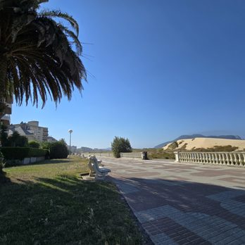Paseo Marítimo - Local Flavor Near Me - Laredo, S