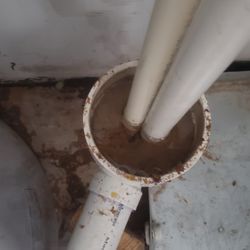 Golden Gate Townhomes - Sewage overflow. They cleaned some up with a shop vacuum and left the rest