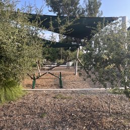 Park Park