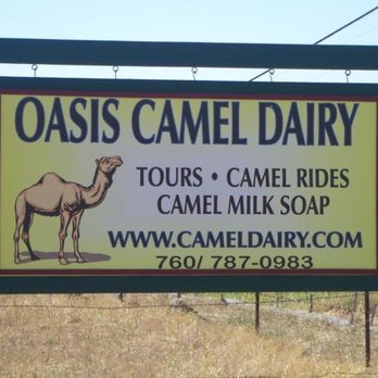 Oasis Camel Dairy - Attraction Farms Near Me - Ramona, California Oasis Camel Dairy - Attraction Farms Near Me - Ramona, California