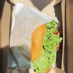 Shake Shack Midtown Tampa