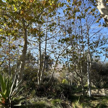 Tongva Park - Parks Near Me - Santa Monica, California Tongva Park - Parks Near Me - Santa Monica, California