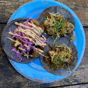 Barba Negra - Octopus shrimp and fish - Tacos Near Me - Holbox, ROO Barba Negra - Octopus shrimp and fish - Tacos Near Me - Holbox, ROO
