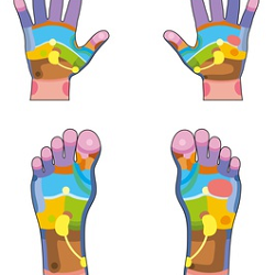 Sole to Soul Wellbeing
