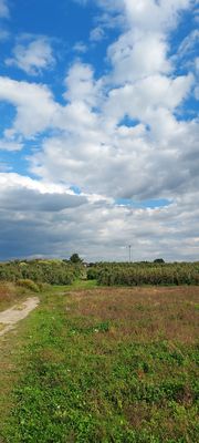 DuBois Farms by null