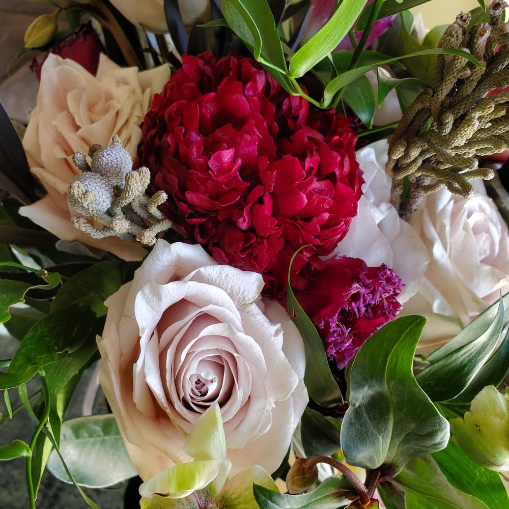 The Singing Orchid - Florists Near Me