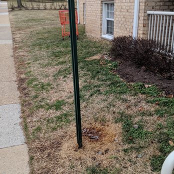 Lerner Springfield Square - Cart from Fresh World - Apartments Near Me - Springfield, Virginia