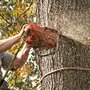 CP Gillaspie Hauling & Tree Service