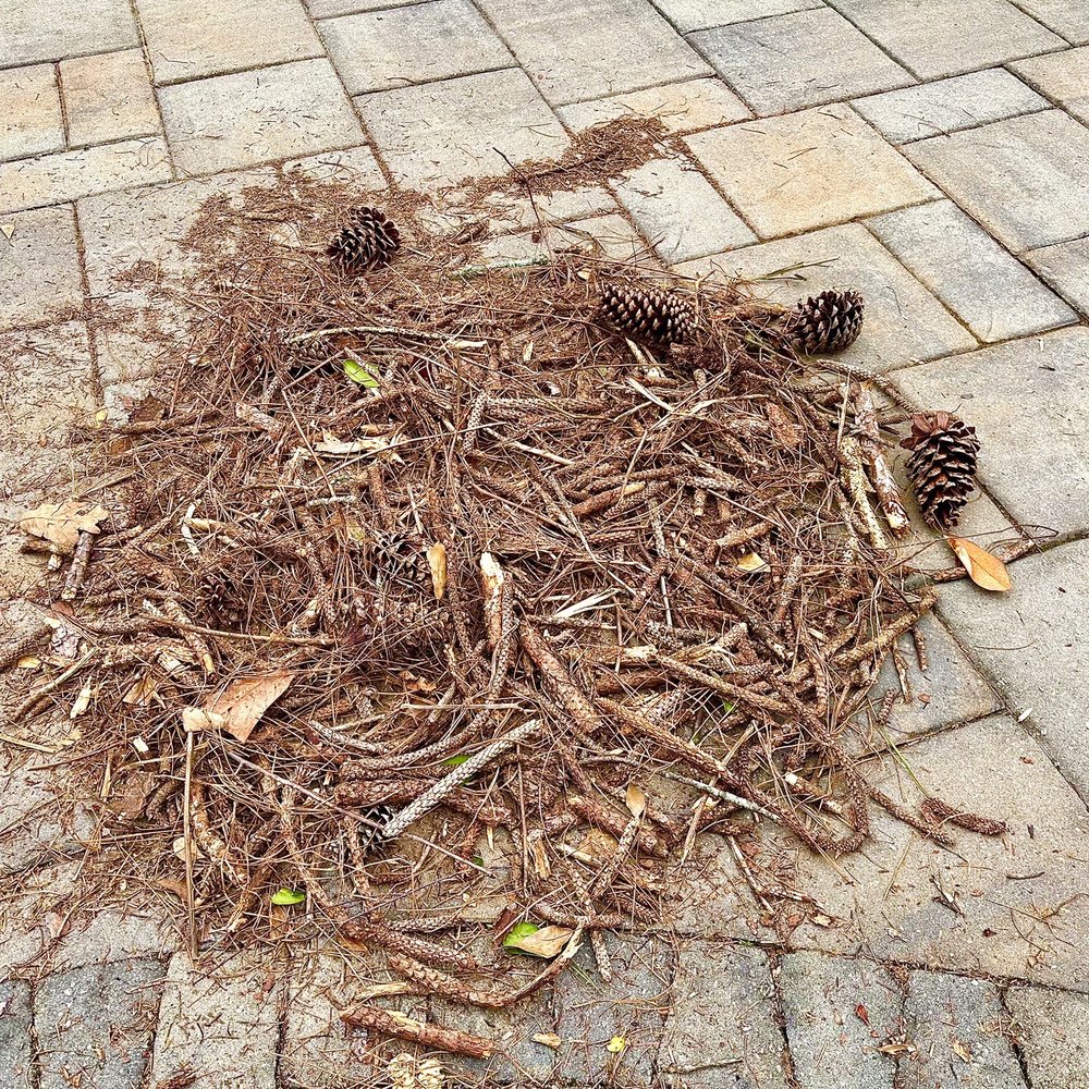 Pine straw debris pulled out of ten bales. Pine straw debris pulled out of ten bales.