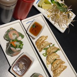 Pho Plus - Gyoza and summer rolls