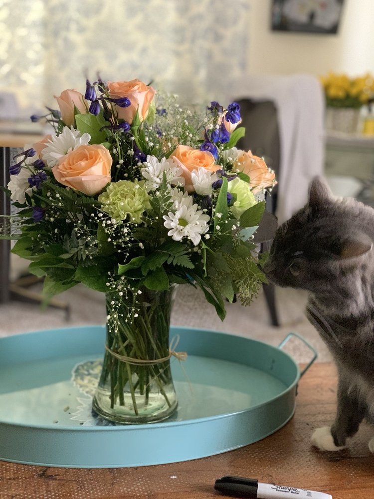 IRIS FLOWER SHOP Updated July 2024 76 Photos & 20 Reviews 3582