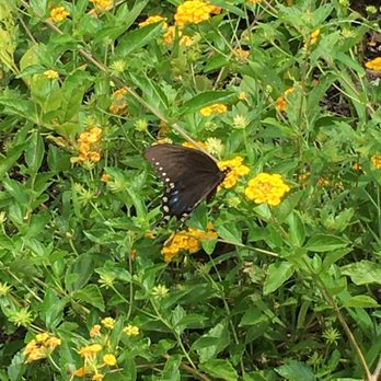 Cherokee Memorial Park - Parks Near Me - Birchwood, Tennessee Cherokee Memorial Park - Parks Near Me - Birchwood, Tennessee