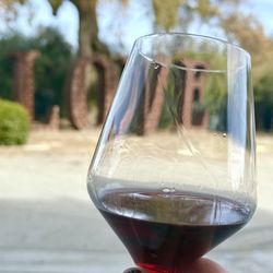 Morgan Hill Wine Trolley - MOHI