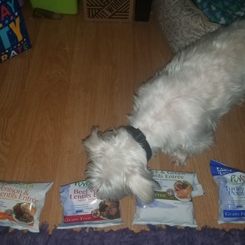 Rock Dog and Cat - Max likes the beef and turkey the most from PureVita. I added a kibble for each flavor to see which one he chose. - Pet Stores Near Me - Los Angeles, California Rock Dog and Cat - Max likes the beef and turkey the most from PureVita. I added a kibble for each flavor to see which one he chose. - Pet Stores Near Me - Los Angeles, California