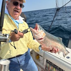 Fish Factory SportFishing