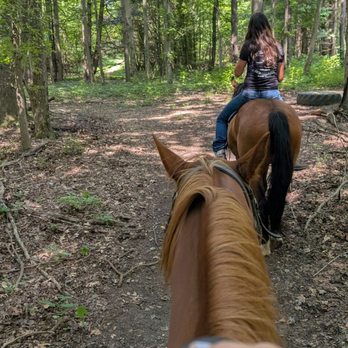 JJ Morris Riding Lessons And Trail Rides - Horseback Riding Near Me - Bristol, Indiana JJ Morris Riding Lessons And Trail Rides - Horseback Riding Near Me - Bristol, Indiana