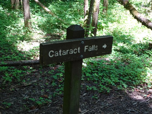 Cataract Falls by null