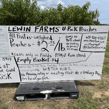 Lewin Farms - Pick Your Own Farms Near Me - Calverton, New York Lewin Farms - Pick Your Own Farms Near Me - Calverton, New York