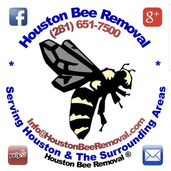 Houston Bee Removal - Pest Control Near Me - Spring, Texas Houston Bee Removal - Pest Control Near Me - Spring, Texas