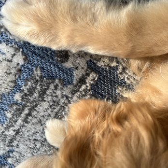 Seaside Pet Naturals - Pet Stores Near Me - Mount Pleasant, South Carolina
