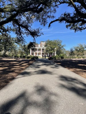 Oak Alley Plantation by null