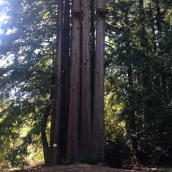 The Salvation Army Redwood Glen Camp & Conference Center - Zip lines