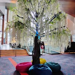 Cute tree with beanbag chairs by the entrance.