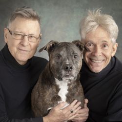 The Grateful Dog of Rogers Park