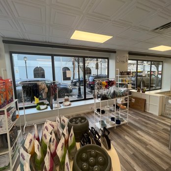 4 My Dogs - Pet Stores Near Me - White Plains, New York 4 My Dogs - Pet Stores Near Me - White Plains, New York