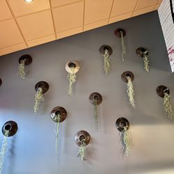 Del Pez Mexican Gastropub - Wall Decor.