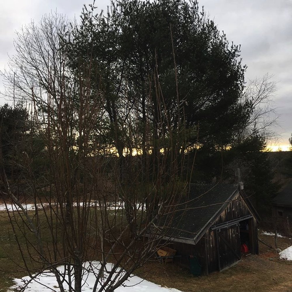 Green's Tree Service - Tree Surgeon - Tree Services Near Me - Lincolnville, Maine